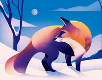 Лис на снегу