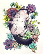 Толстый котик и цветы