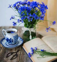 Полевые цветочки и чашечка чая