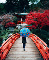 Девушка с голубым зонтом на фоне восточного храма