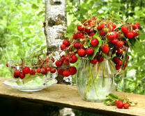 Спелая клубника в прозрачной вазе