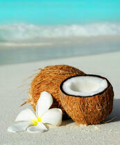 Кокос и цветок на песчанном пляже