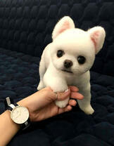 Девушка с маленьким пушистым щеночком