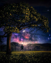 Качеля на дереве под ночным небом