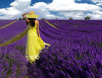 Девушка в желтом на лавандовом поле