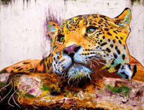 Отдыхающий на ветке леопард