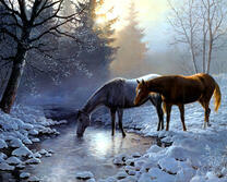 Две лошади у зимнего ручья