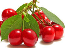 Спелые вишни с листиками