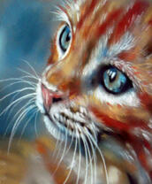 Рыжий котенок с голубыми глазами