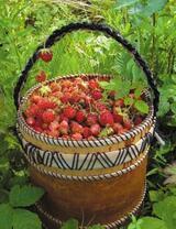 Полное ведро спелой клубники