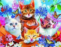 котятки в горшочках и яркие цветы