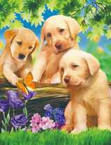 Три милых щенка и бабочка