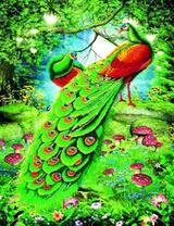 Павлины с зелеными перьями в лесу