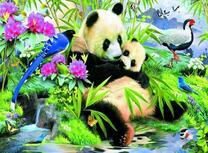 Мама панда с малышом лесу