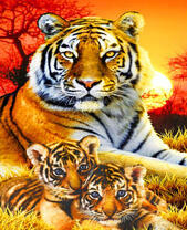 Тигрица на фоне солнца с тигрятами