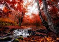 Небольшой водопад под кронами осенних деревьев