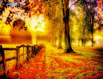 Забор у весеннего сада в лучах солнца