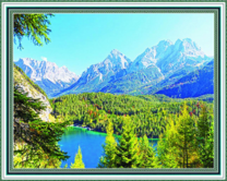 Зелёный лес у горной реки