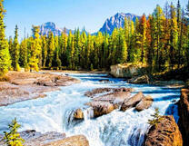 Лесная река с порогами