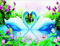 Лебеди на озере цветущих лотосов