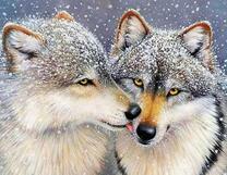 Пушистые волчица и волк под снегом