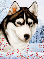 Пёс в зимней сказке