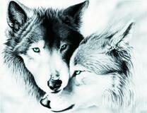 Нежность грозных волков