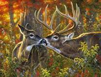 Пара оленей в осеннем лесу