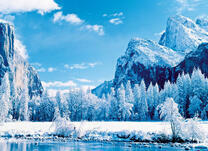 Заснеженные ели у горного озера