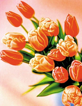 Букетик нежных тюльпанов