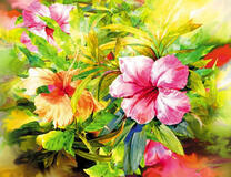 Нежные цветы гибискуса