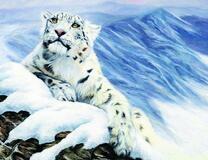 Большой снежный барс в зимних горах