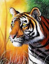 Красивый тигр с ярким раскрасом