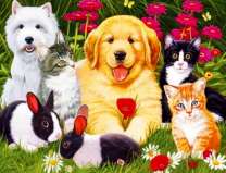 Щенки, котята и кролики в цветах
