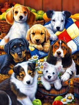 Собрание милых щеночков