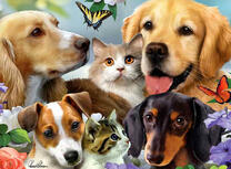 Щеночки, котятки и бабочка