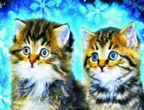 Пара пушистых котят на фоне снежинок