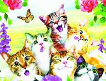 Весёлые котята, розы и бабочка