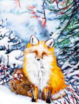 Рыжая лисичка на снегу под ёлкой