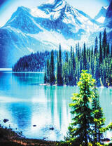 Стройные ели на берегу горного озера