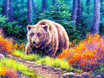 Большая медведица в осеннем лесу