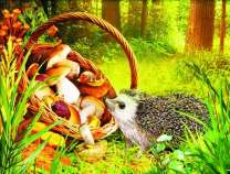 Милый ёжик у корзинки с грибами