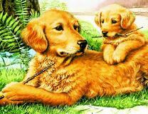 Милый щеночек лабрадора с мамой