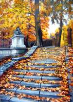 Осенние листья в городском парке