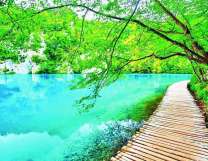 Деревянный настил вдоль лесного озера