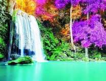 Красочный лес у водопада