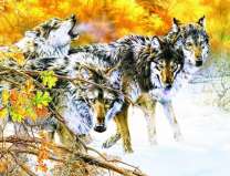 Четыре волка на снегу в зимнем лесу