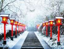 Тёплые фонарики вдоль зимней лестницы