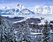 Горы, лес и снежная долина