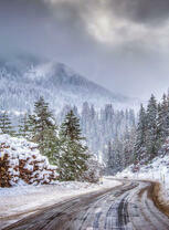 Ледяная дорога в горном лесу